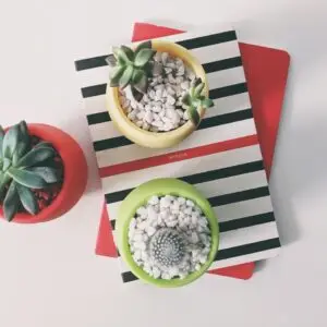 Assorted Planters